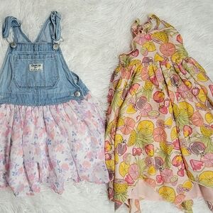 OshKosh B'gosh Blue and Pink Kids/ Toddler Girl Dress Set Size 3t